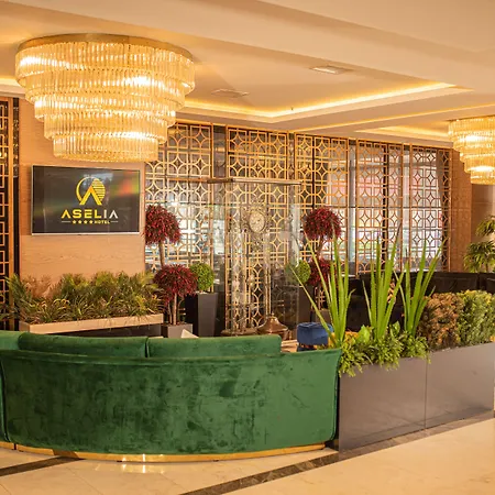Aselia Hotel Trabzon-2