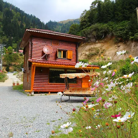 Ayder Selale Dag Evi-2