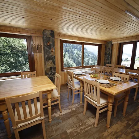 Serinyer Dağ Evi-2