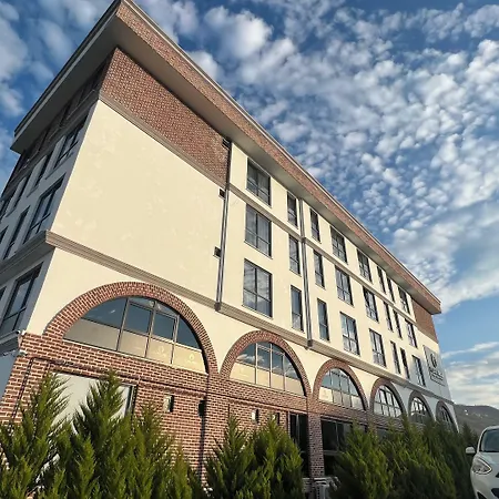 Flora Ordu Hotel Apart Suite-3