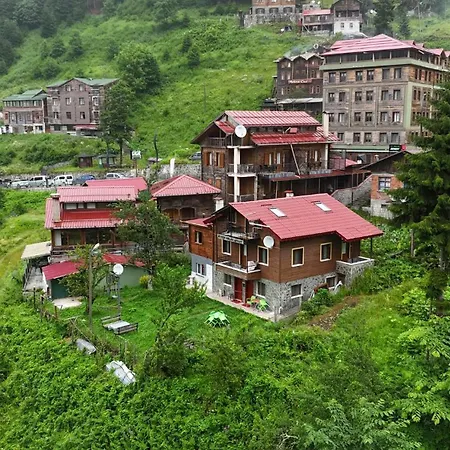 Ayder Palas Apart Hotel-3