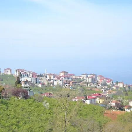 Zeynep Apart-3
