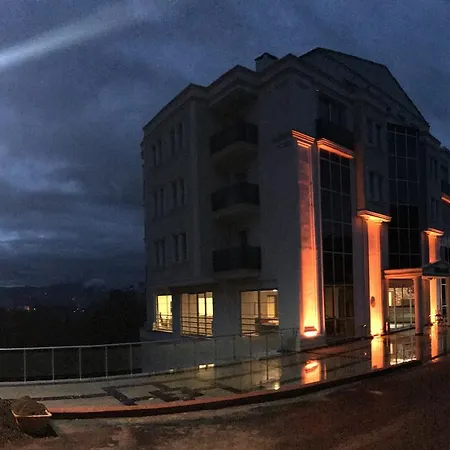 Gold Mina Otel-3