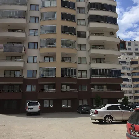 Alya Suite-2