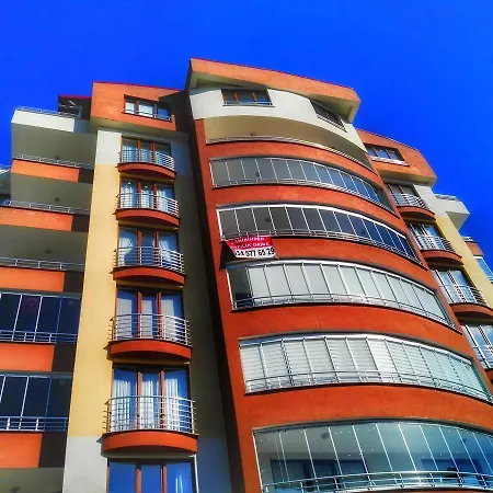 Alya Suite-3