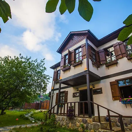 Samlioglu Historical Villa-3