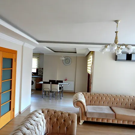 Elite Suite-2