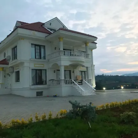 White Pavilion-3