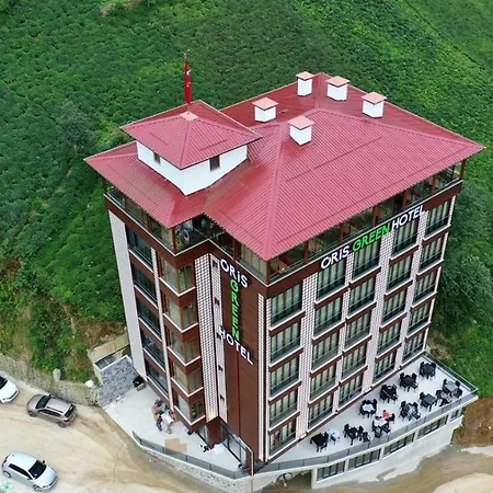 Oris Green Hotel-2