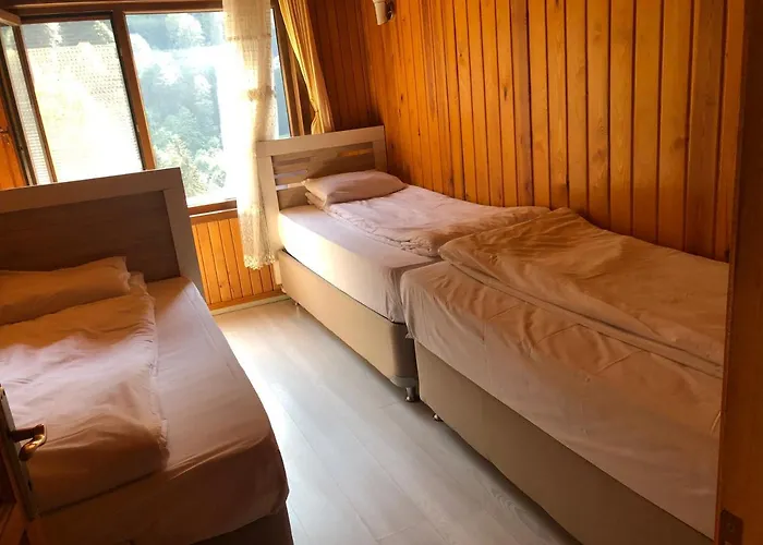 Ardıç Apart Otel Çamlıhemşin