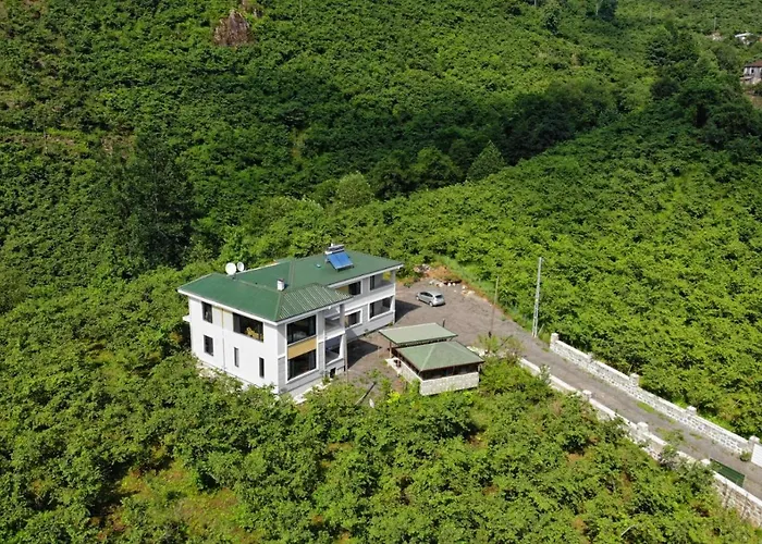 Private Luxury Nature Life Villa Trabzon