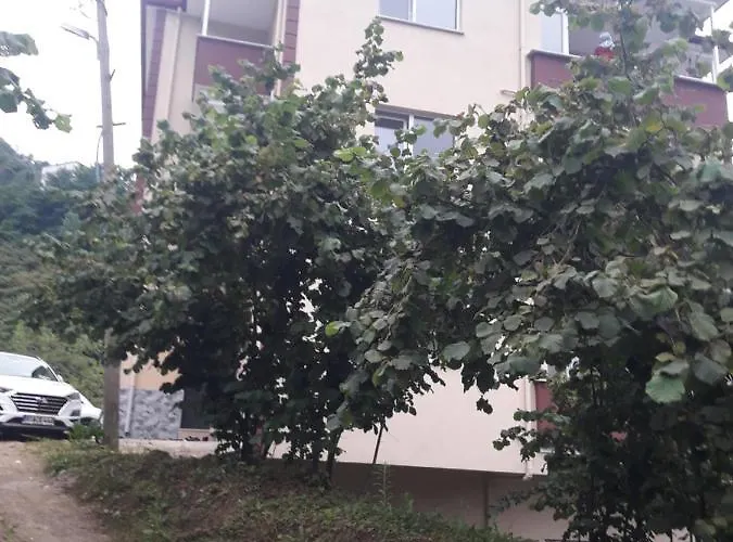 Memis Apartmani Trabzon