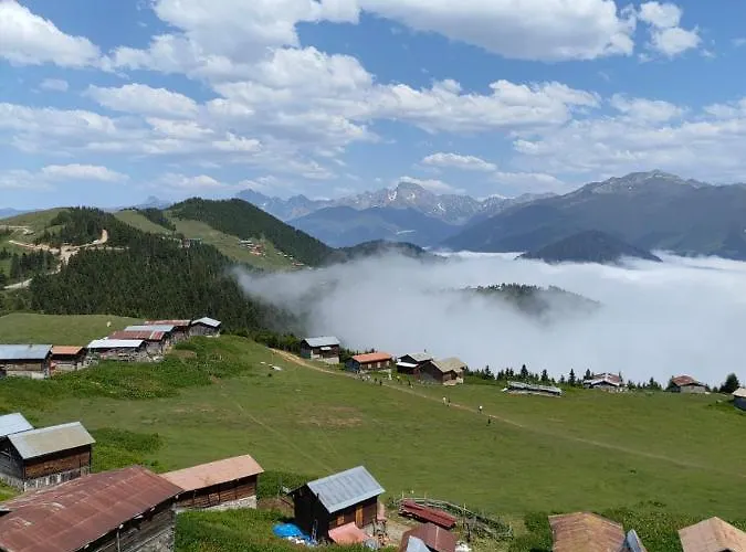 Free Valley Bungalow Çamlıhemşin