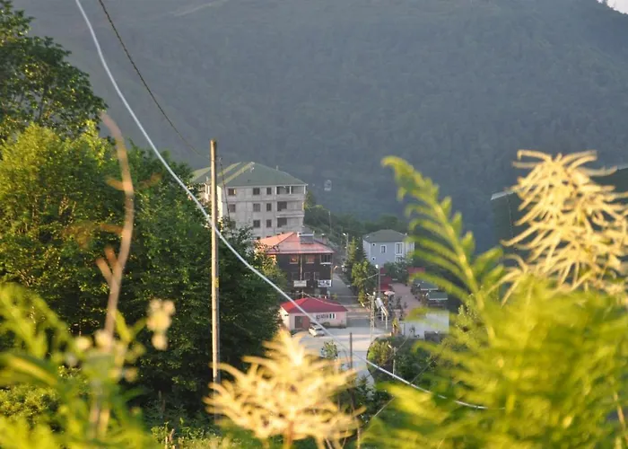 Sirt Butik Hotel Akçaabat