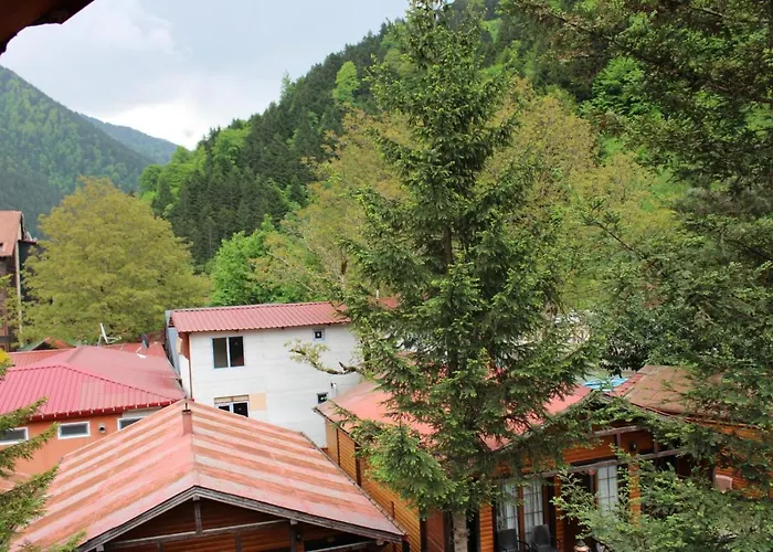 New Doga Resort Hotel Uzungöl