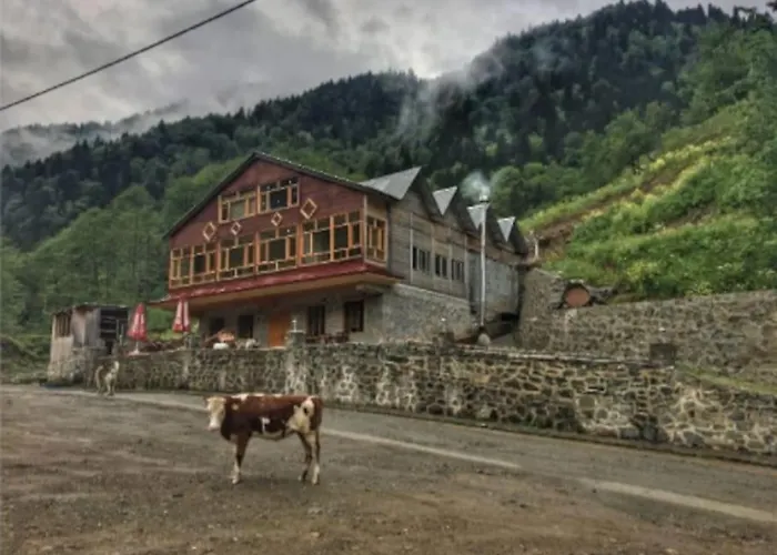 Meydan Simsir Bungalov Çamlıhemşin