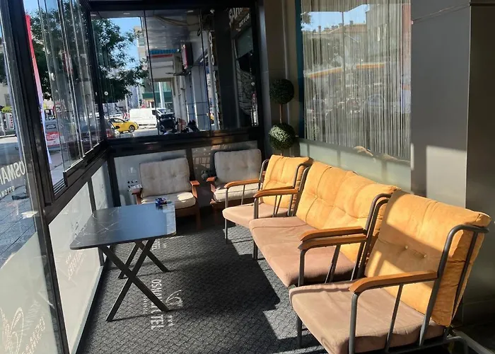 Hôtels de Black Sea Region qui acceptent les chiens