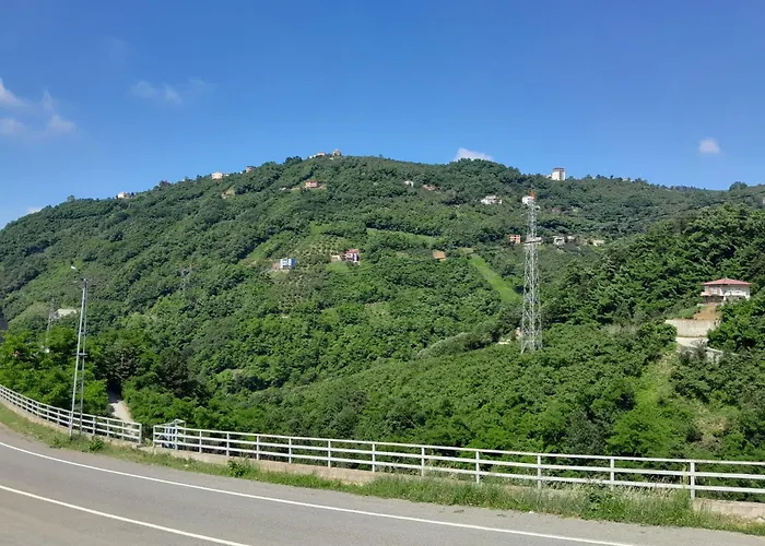 Newsuit2023 Trabzon