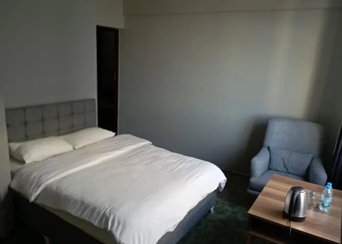 Samsun Otel Vidinli