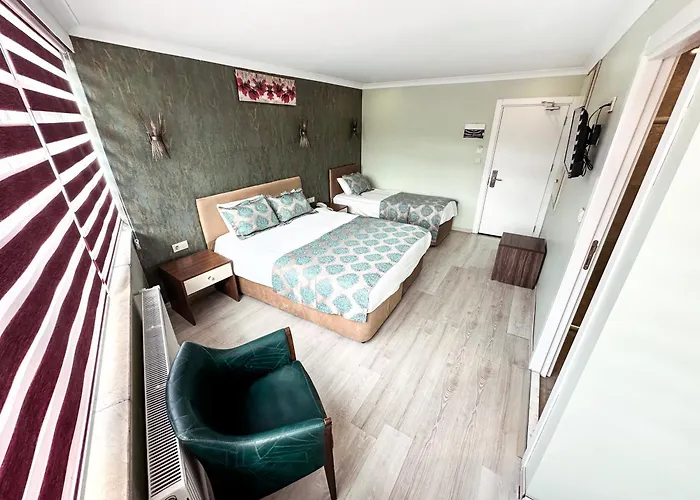 Hotéis que aceitam cães de Black Sea Region