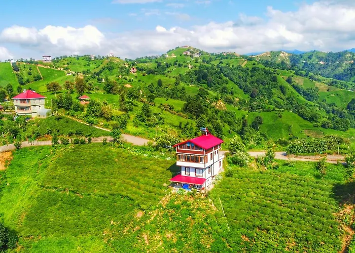 Bulepe Suit Apart Rize