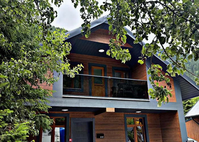 Sezgin Hotel Uzungöl