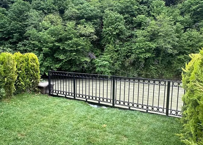 River Side Tinyhouse Çamlıhemşin