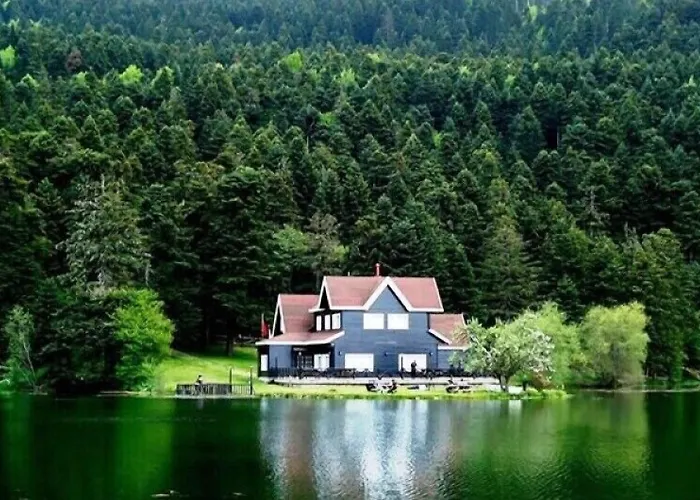 Mekan Ilica Apart Otel Karacasu 