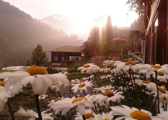 Ayder Liligum Dag Evi Otel