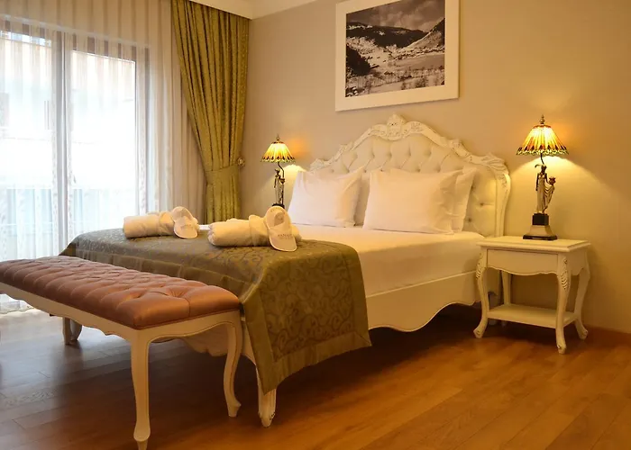 Hotels nahe Zağnos Vadisi Parkı