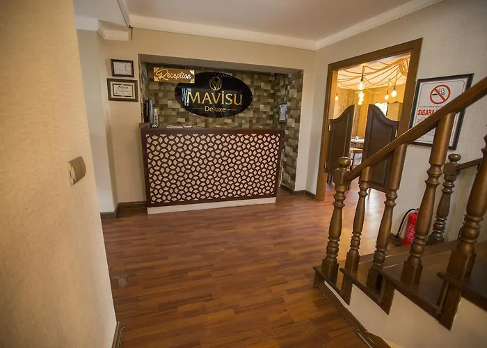 Pet friendly Deluxe Mavisu Hotel Trabzon