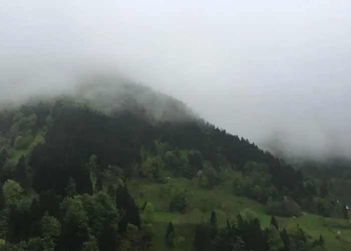 Come To Uzungöl