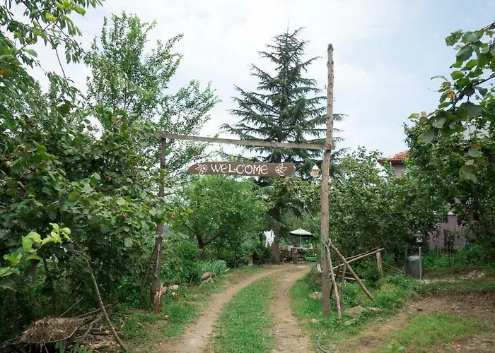 Villa Banizo Great Black Sea View Village House Trabzon